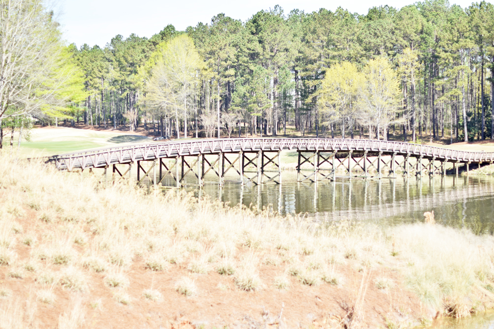 the golf course at The Ritz-Carlton, Reynolds Lake Oconee - one brass fox