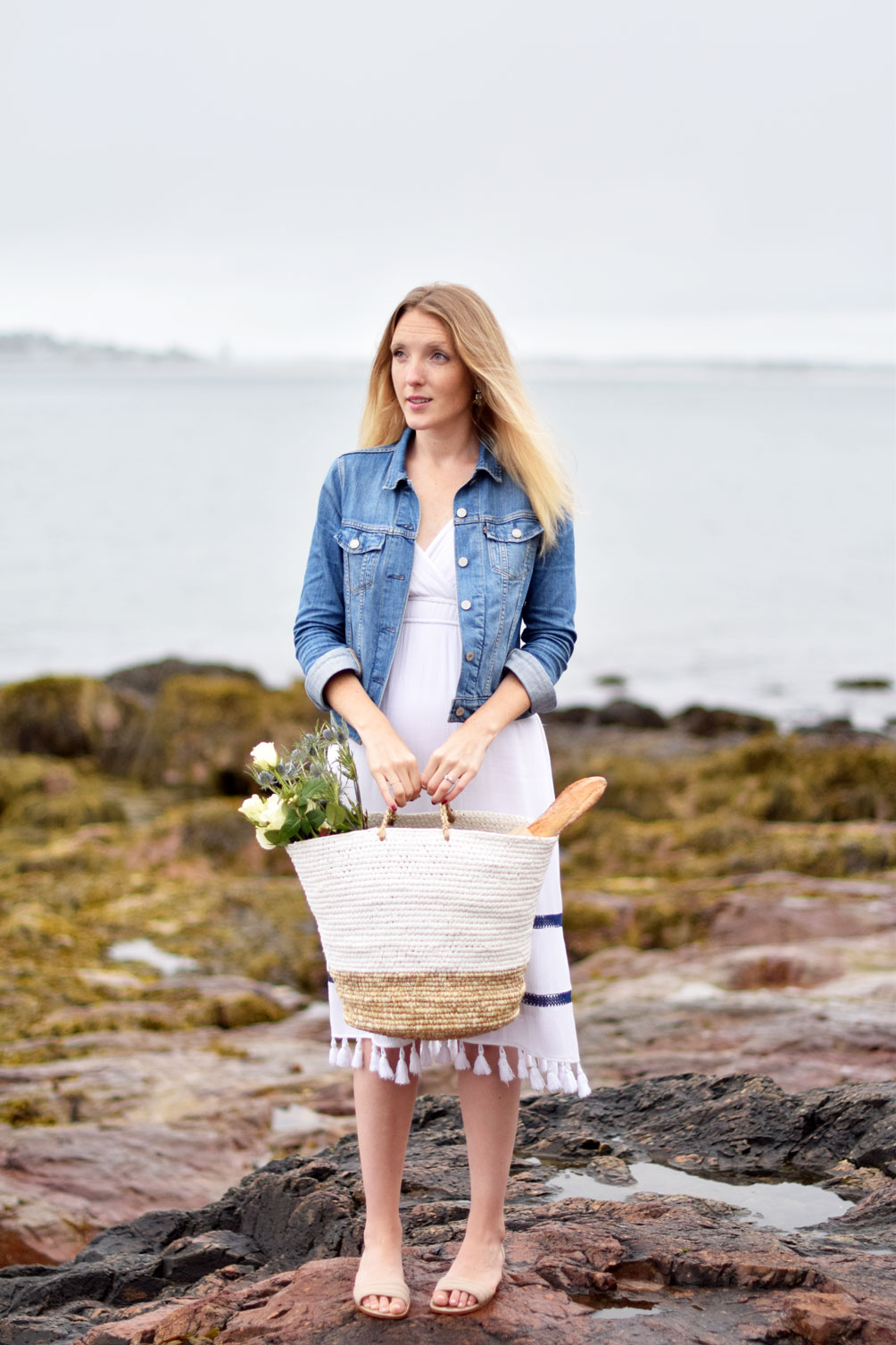 lifestyle blogger Leslie Musser of one brass fox shares how to host the perfect summer picnic with Boston Interiors