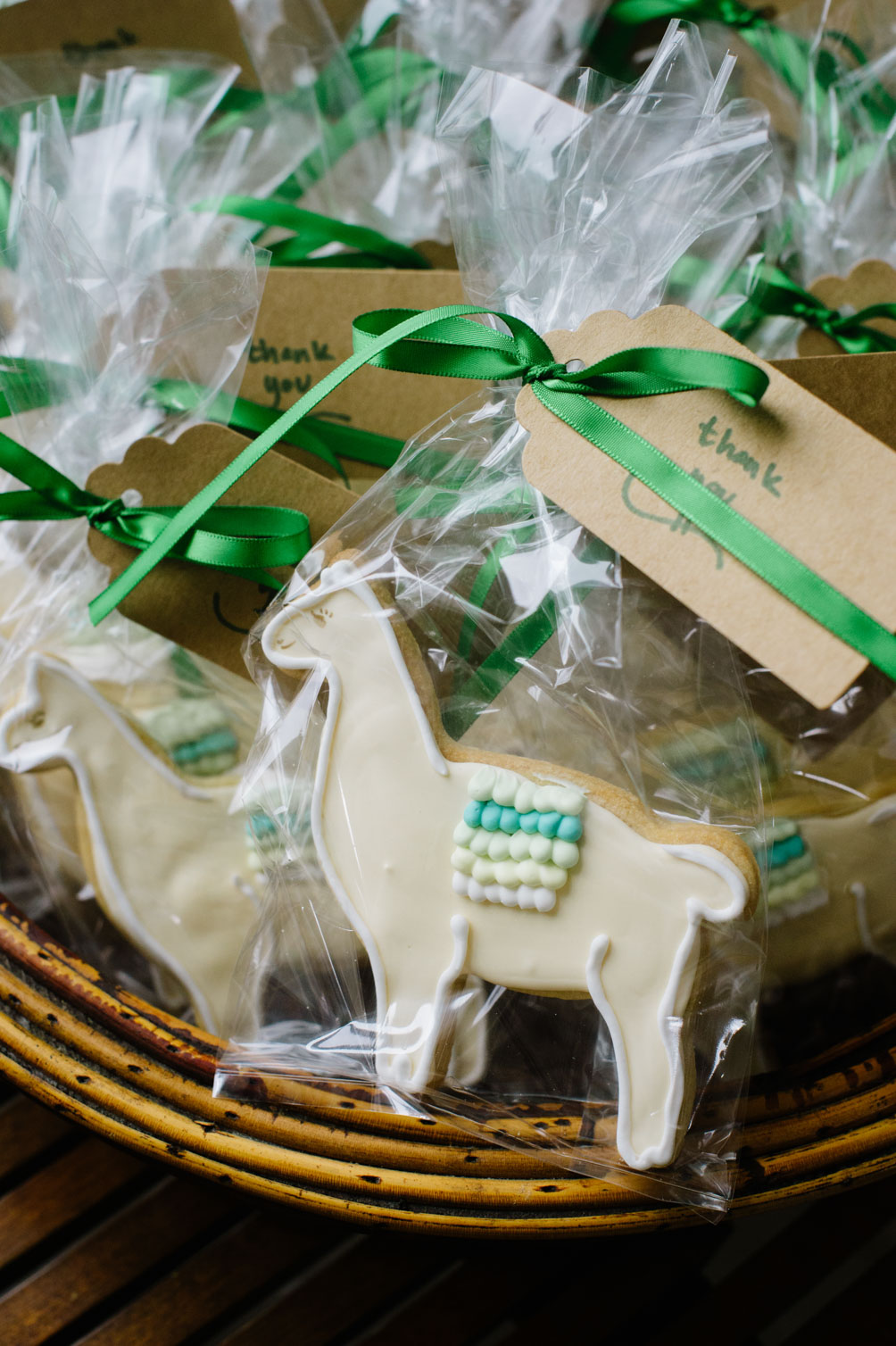 cactus and llama spring baby boy shower cookie favors