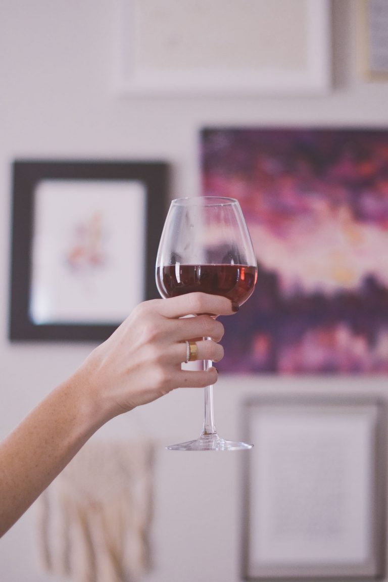 wine pairing for beginners One Brass Fox